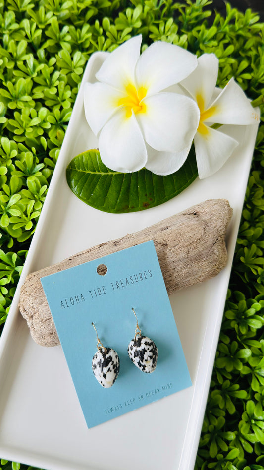 14K GF Nerite Shell Earrings