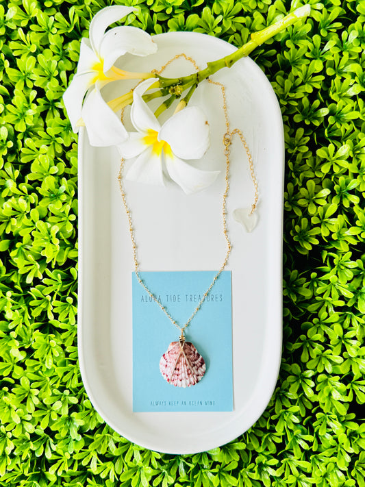 14K GF Carolina Calico Shell Necklace - 16”