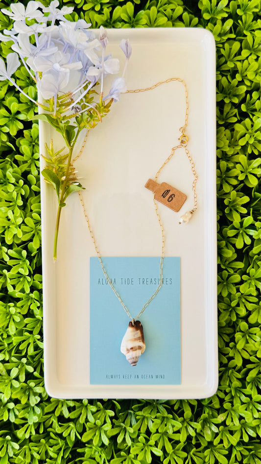 14K GF Conch Shell Necklace 16”