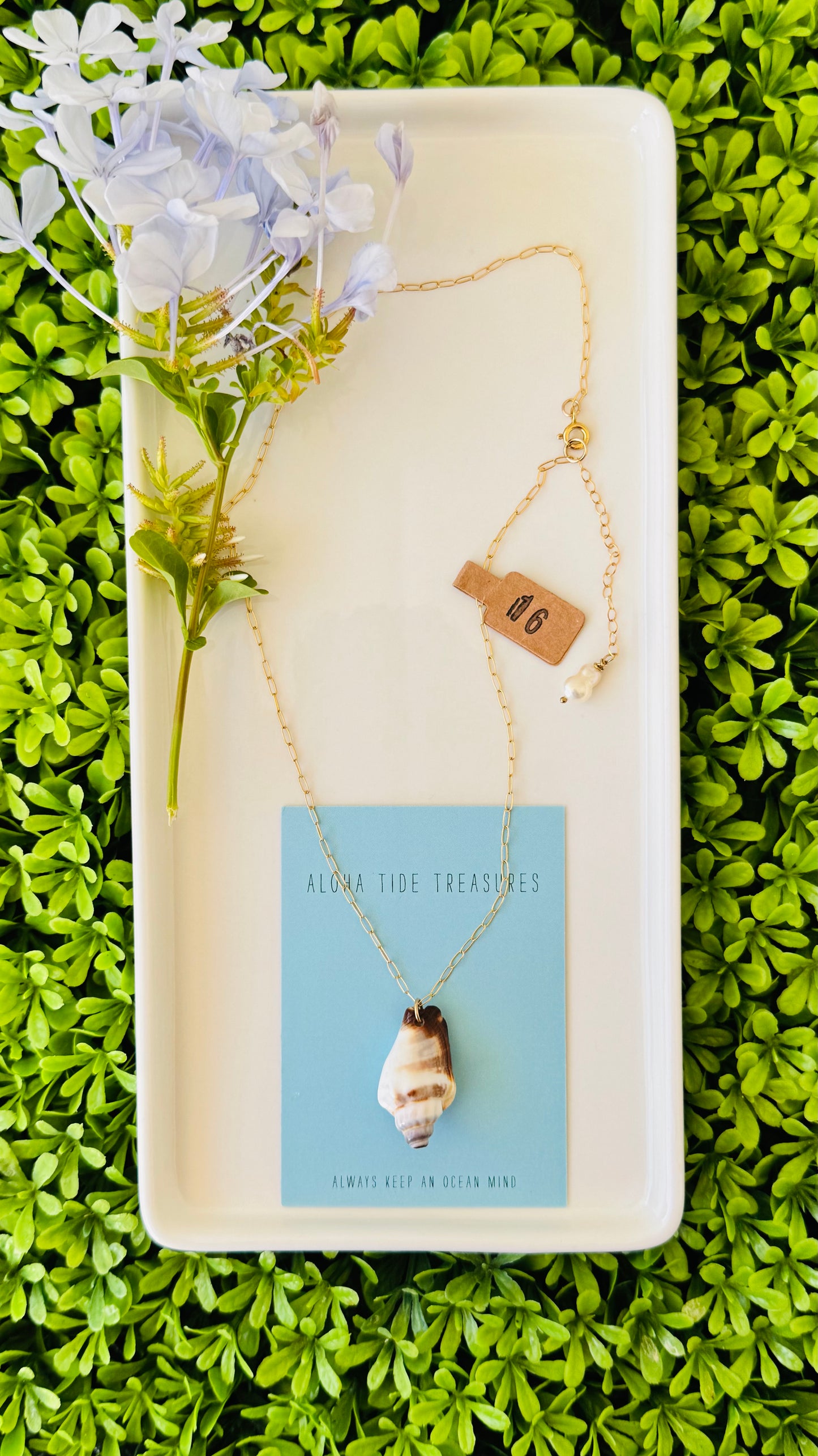 14K GF Conch Shell Necklace 16”