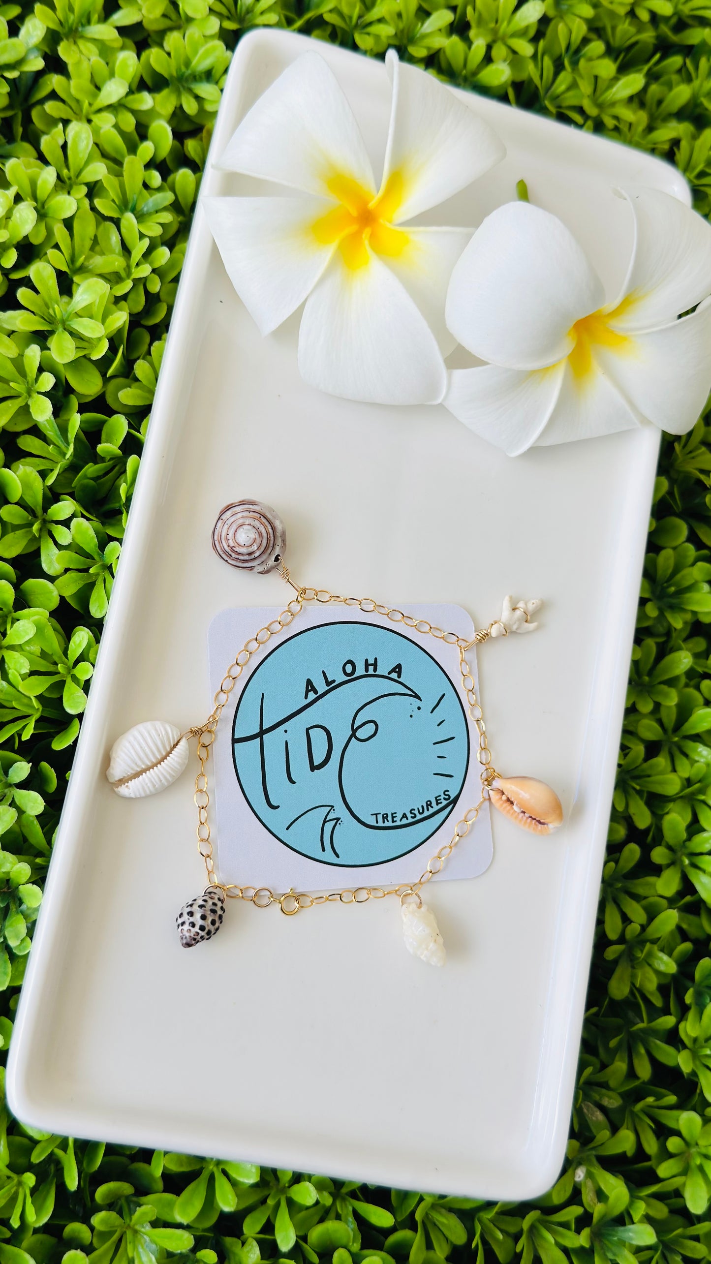 14K GF Shell Anklet 9.5” - Ashley