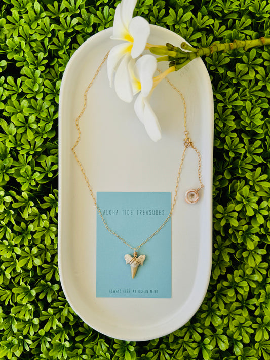 14K GF White Shark Tooth Necklace 16”
