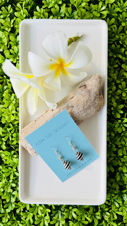 14K GF Okinawa Zebra Shell Earrings