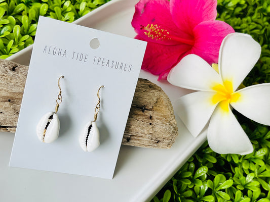 14K GF Money Cowrie Shell Earrings