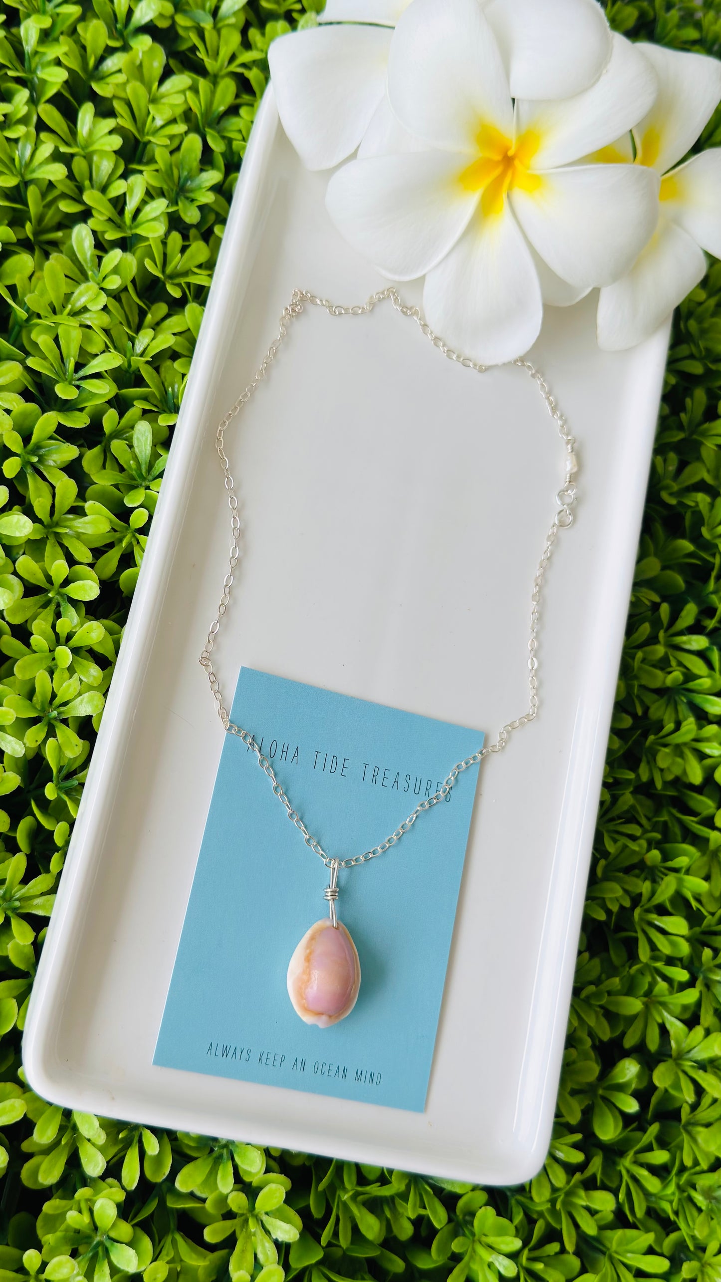 Sterling Silver Cowrie Shell Necklace 17” - Michelle