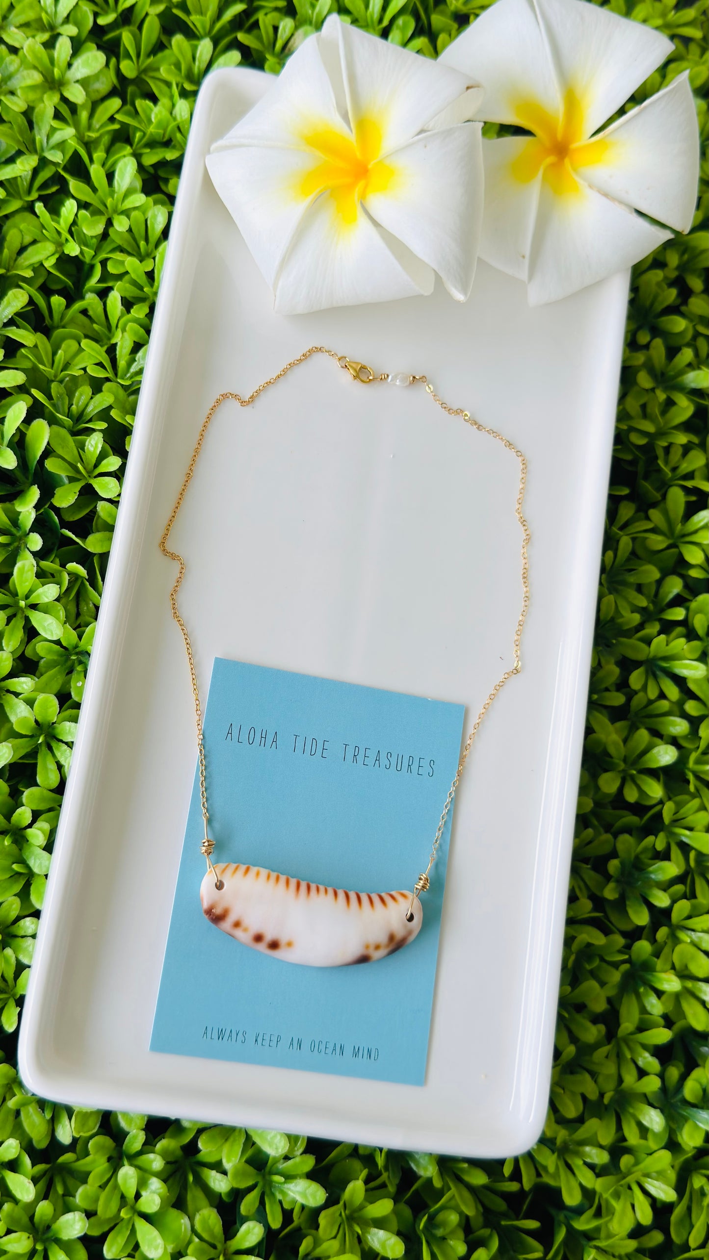14K GF Cowrie Claw Bar Necklace 16”