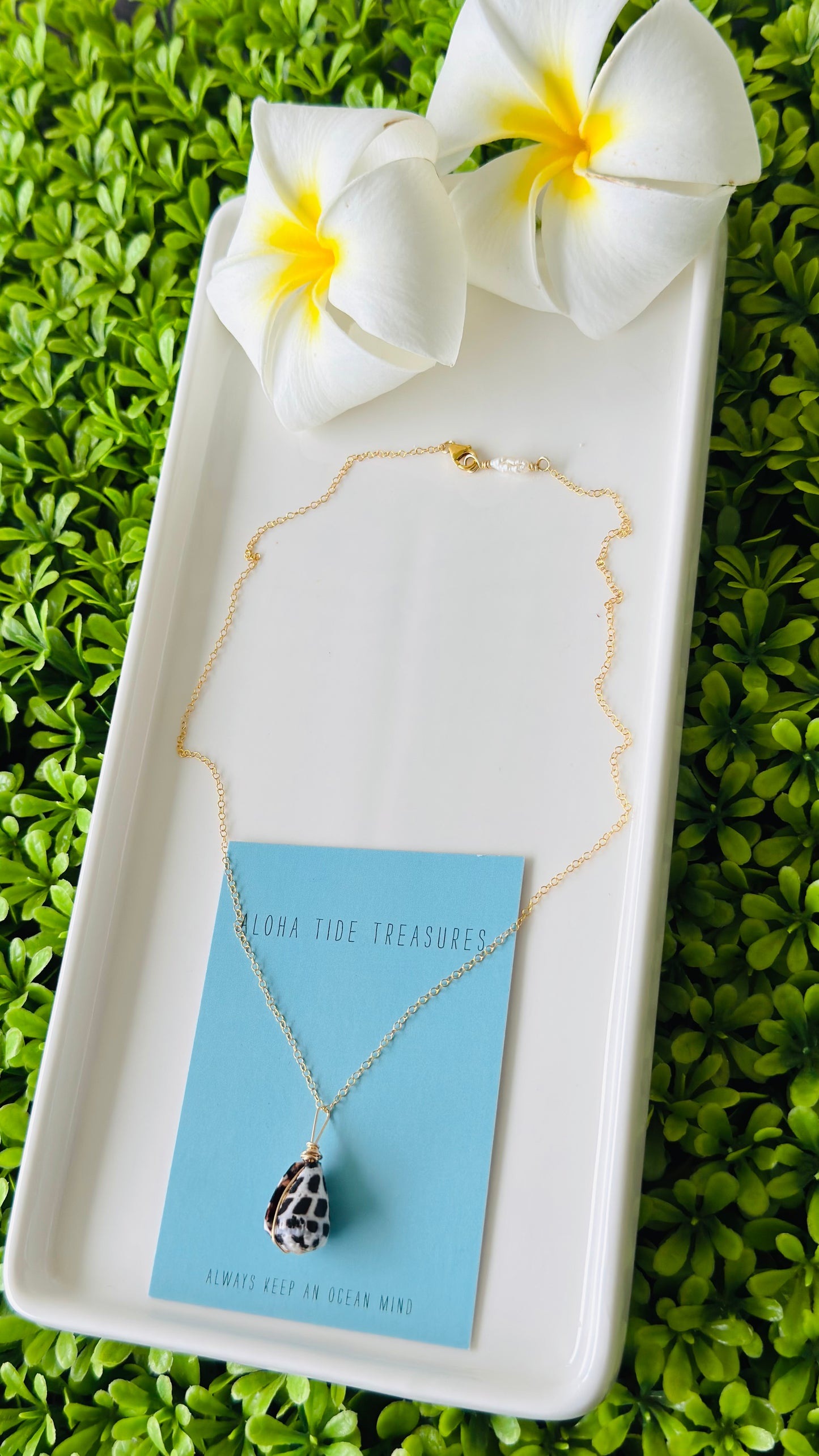 14K GF Hebrew Shell Necklace 16”