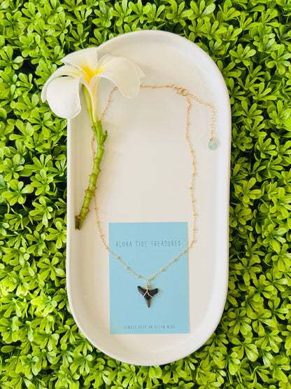 14K GF Shark Tooth Necklace 16”