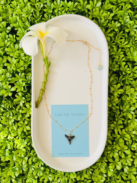 14K GF Shark Tooth Necklace 16”