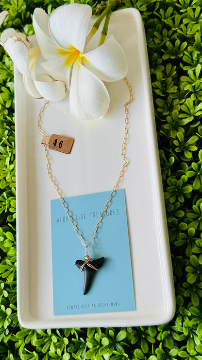14K GF Shark Tooth Necklace 16”