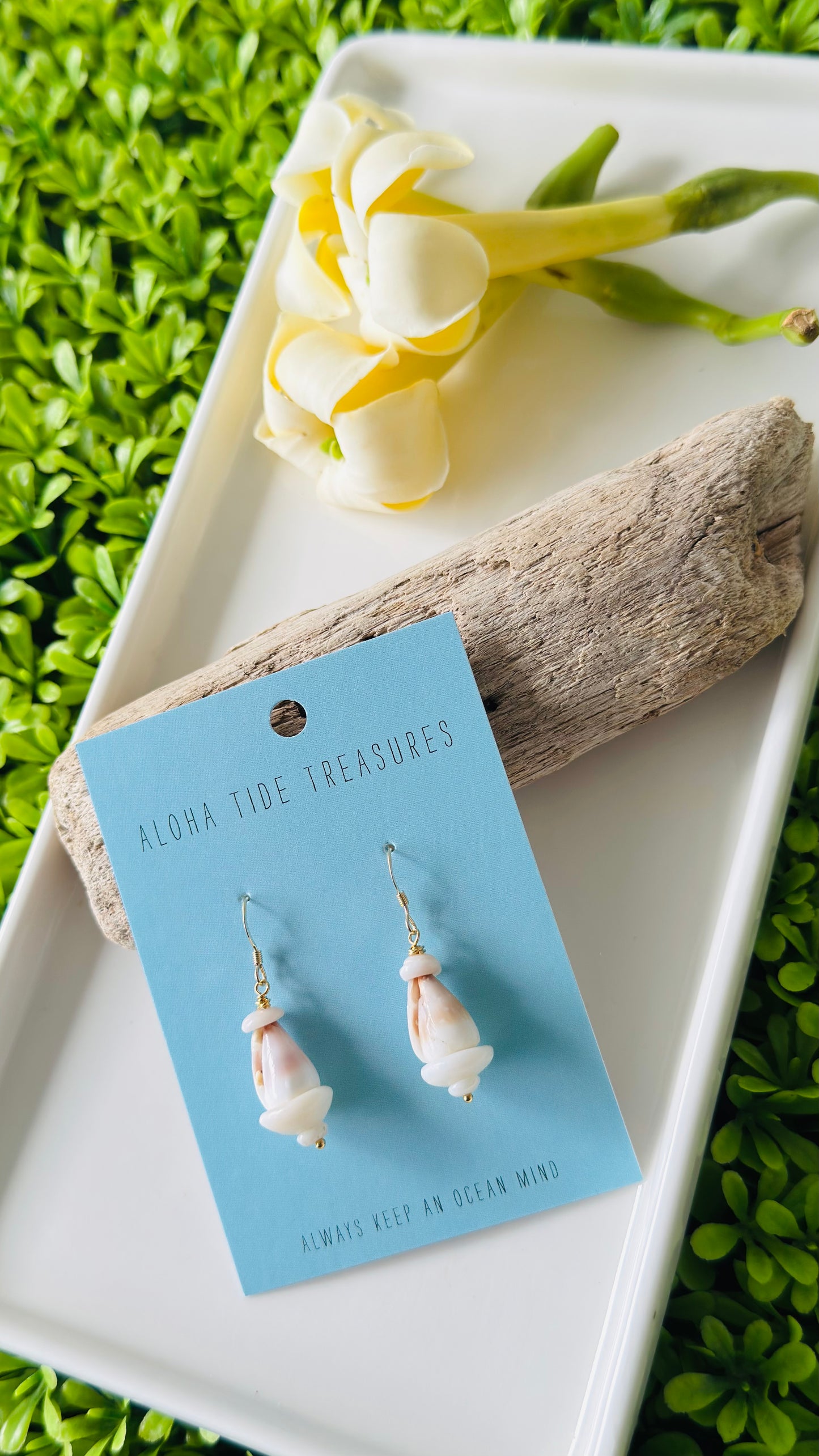 14K GF Stacked Cone Shell Earrings