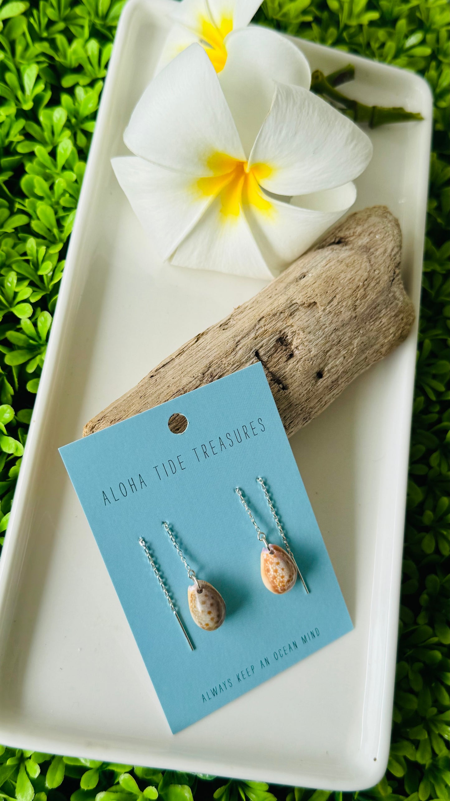Sterling Silver Cowrie Shell Threader Earrings