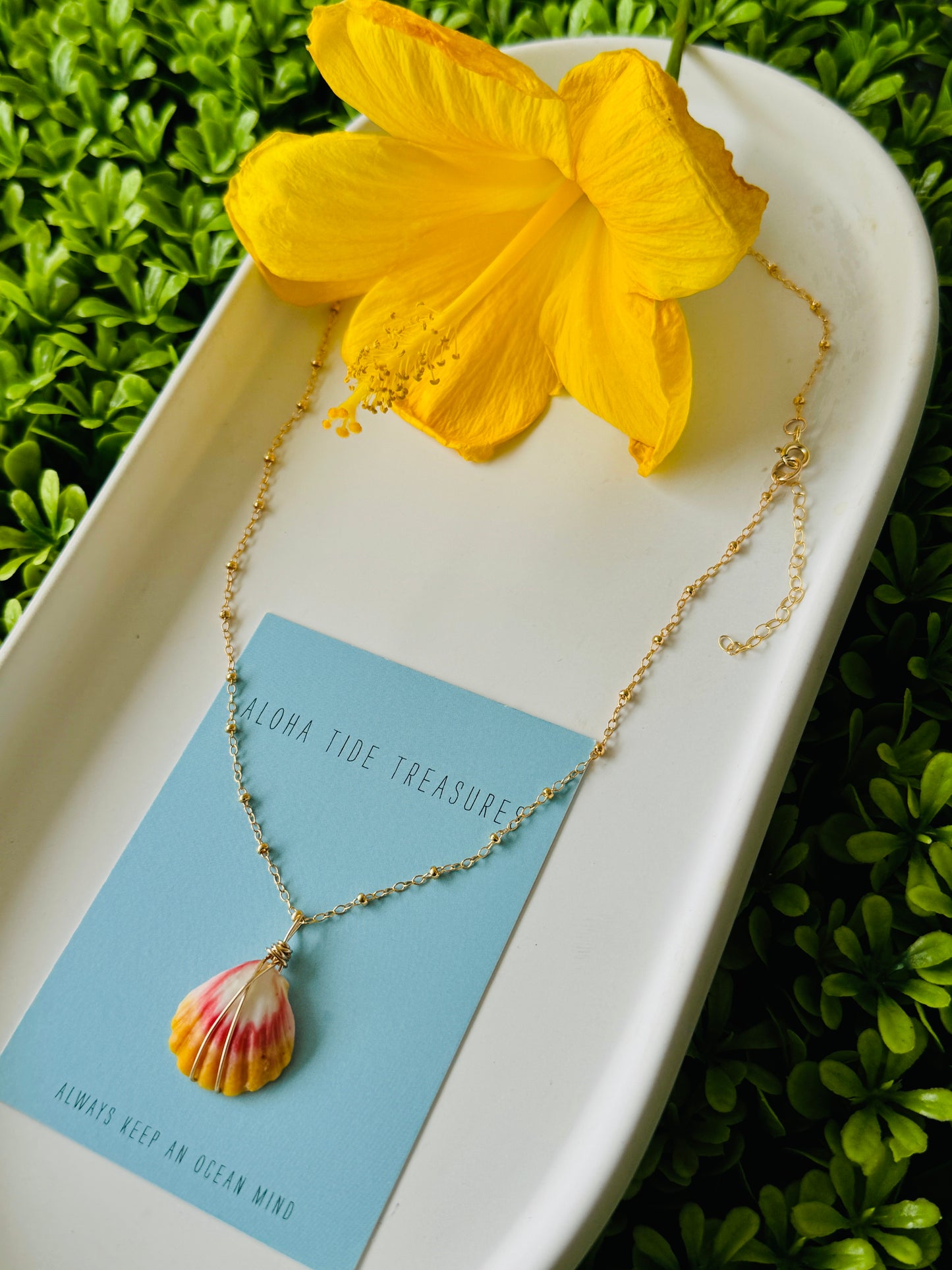 14K GF Sunrise Shell Necklace 16” - Andrea