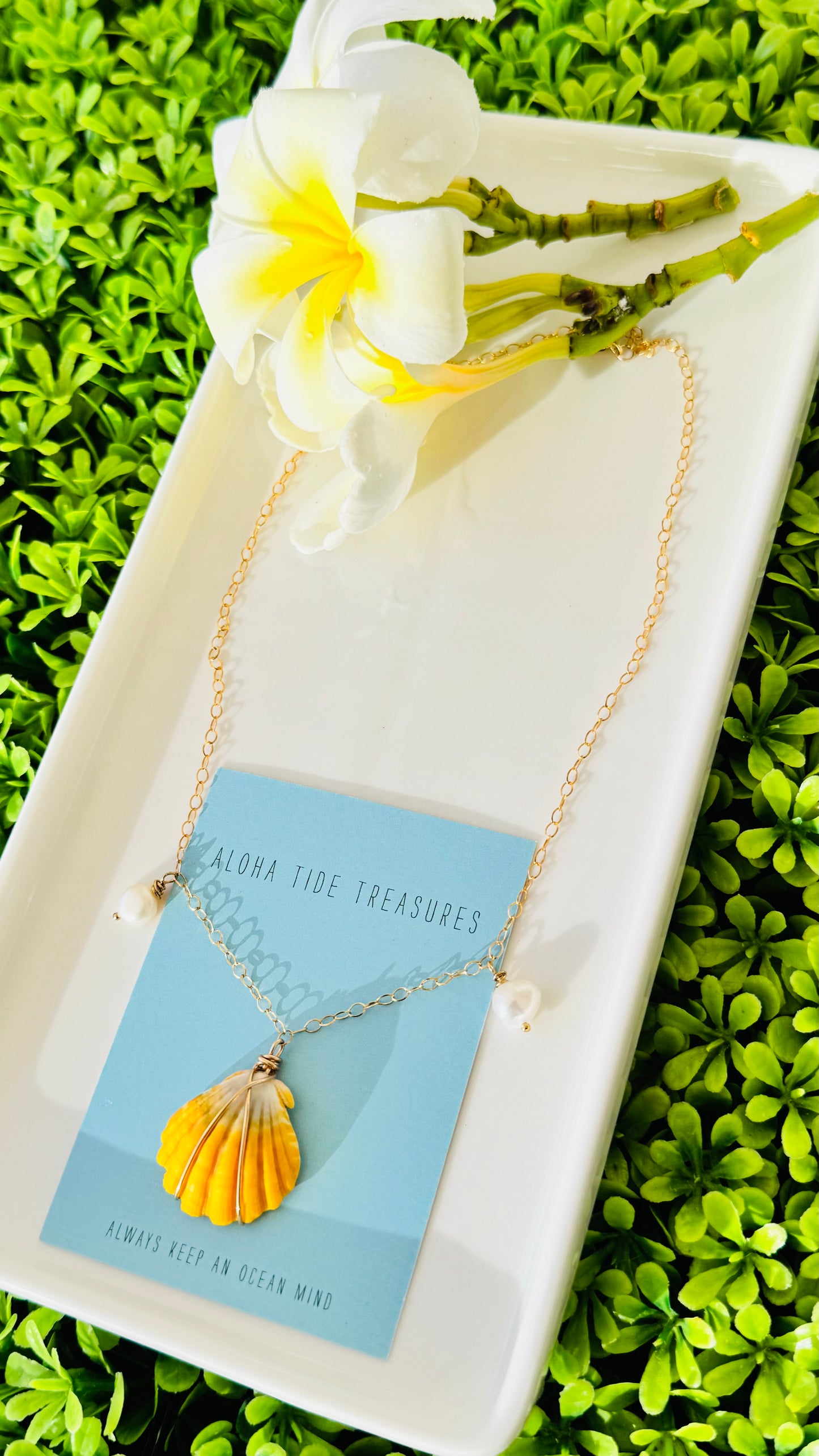 14K GF Sunrise Shell Necklace 16”
