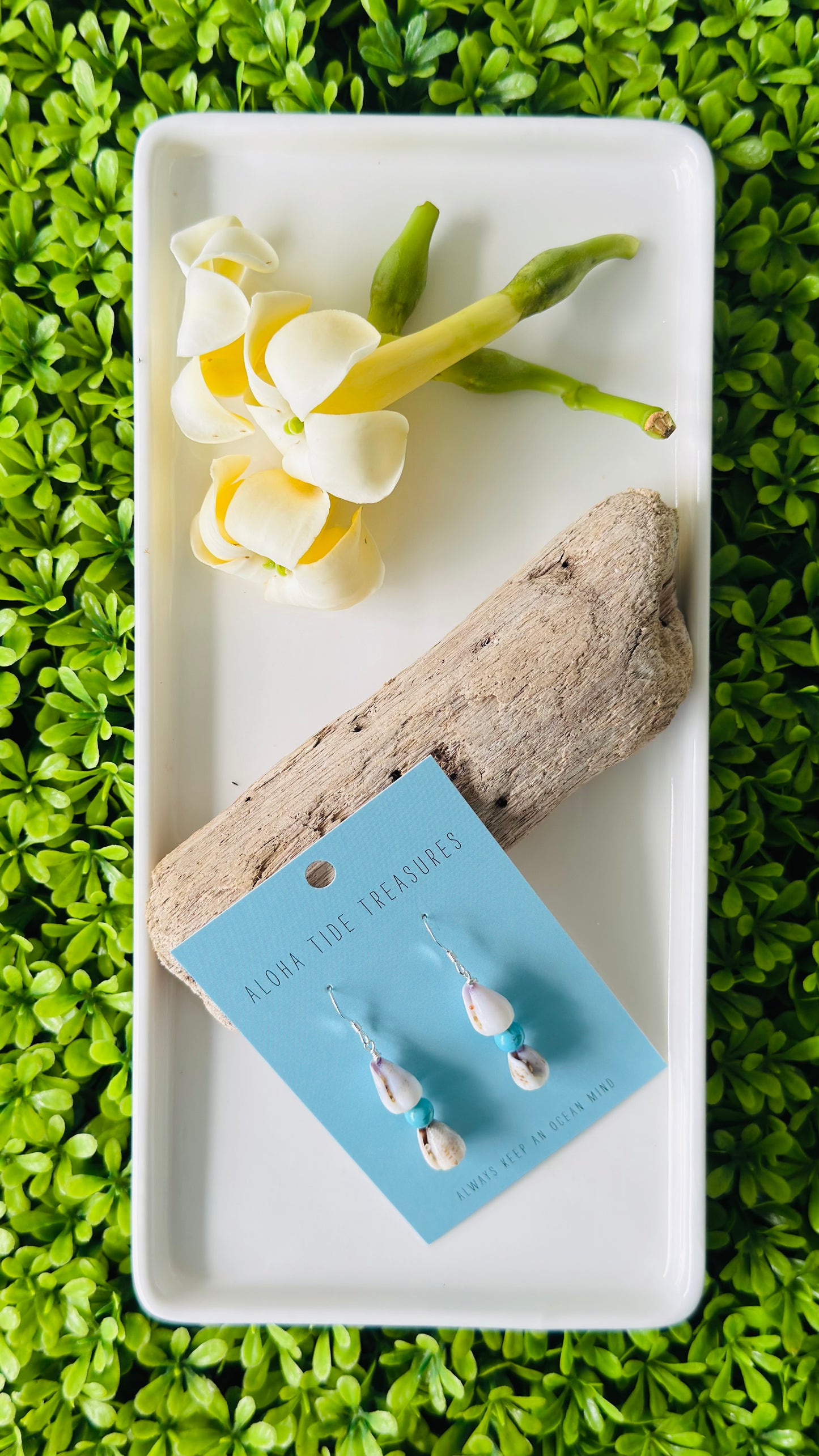 Sterling Silver Stacked Cone Shell Earrings