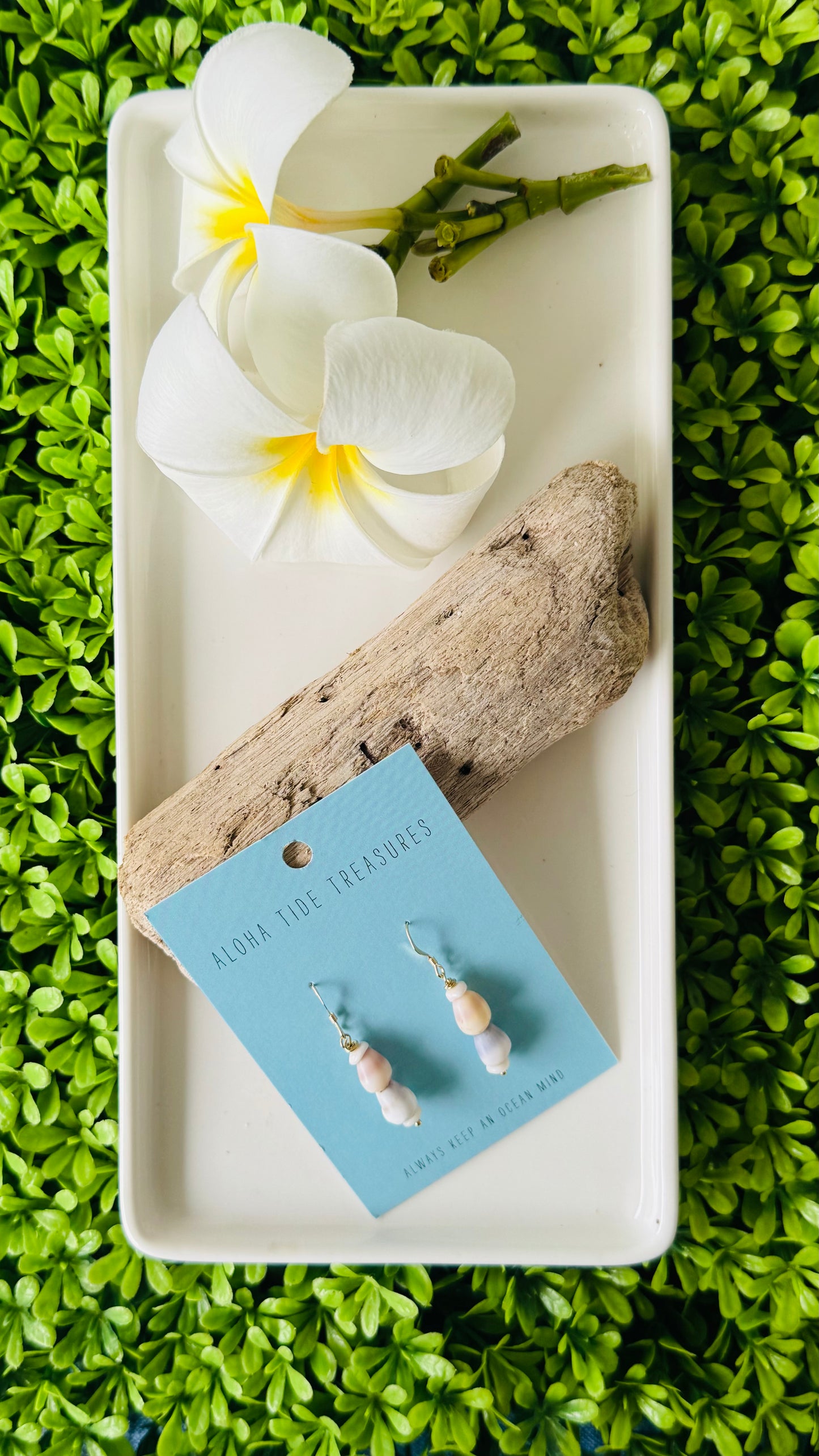 14K GF Stacked Cone Shell Earrings