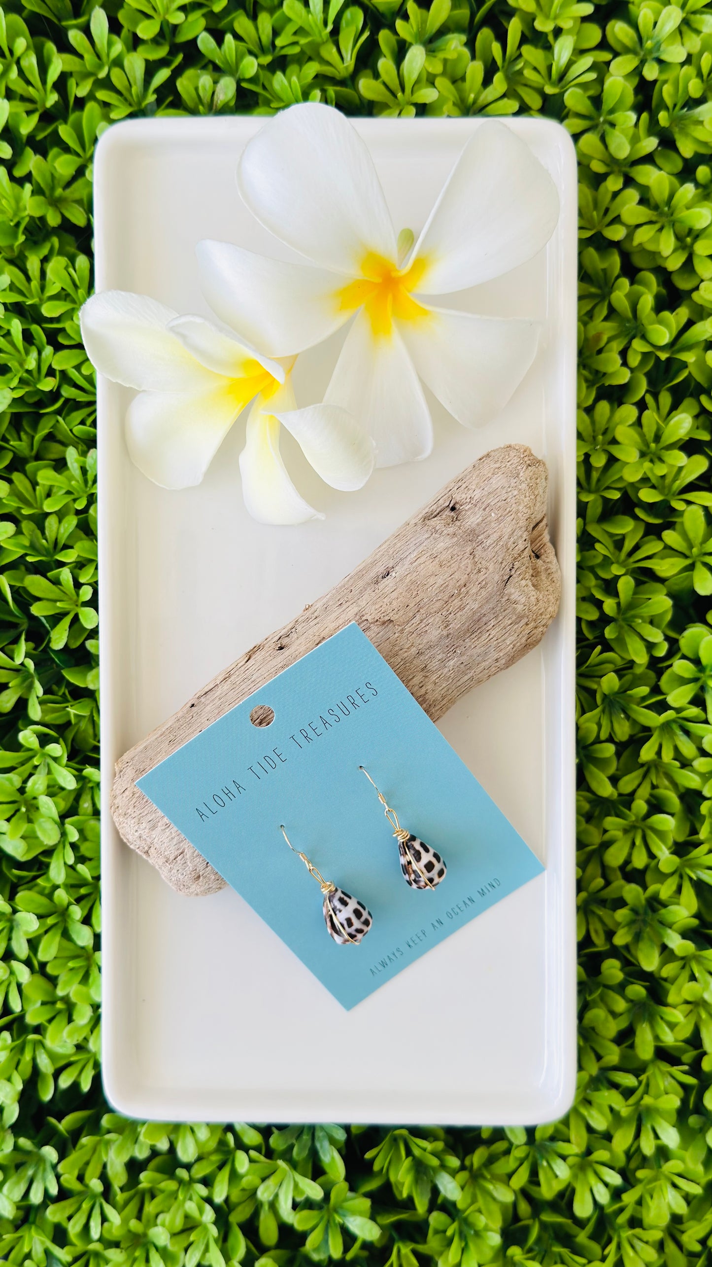 14K GF Hebrew Earrings