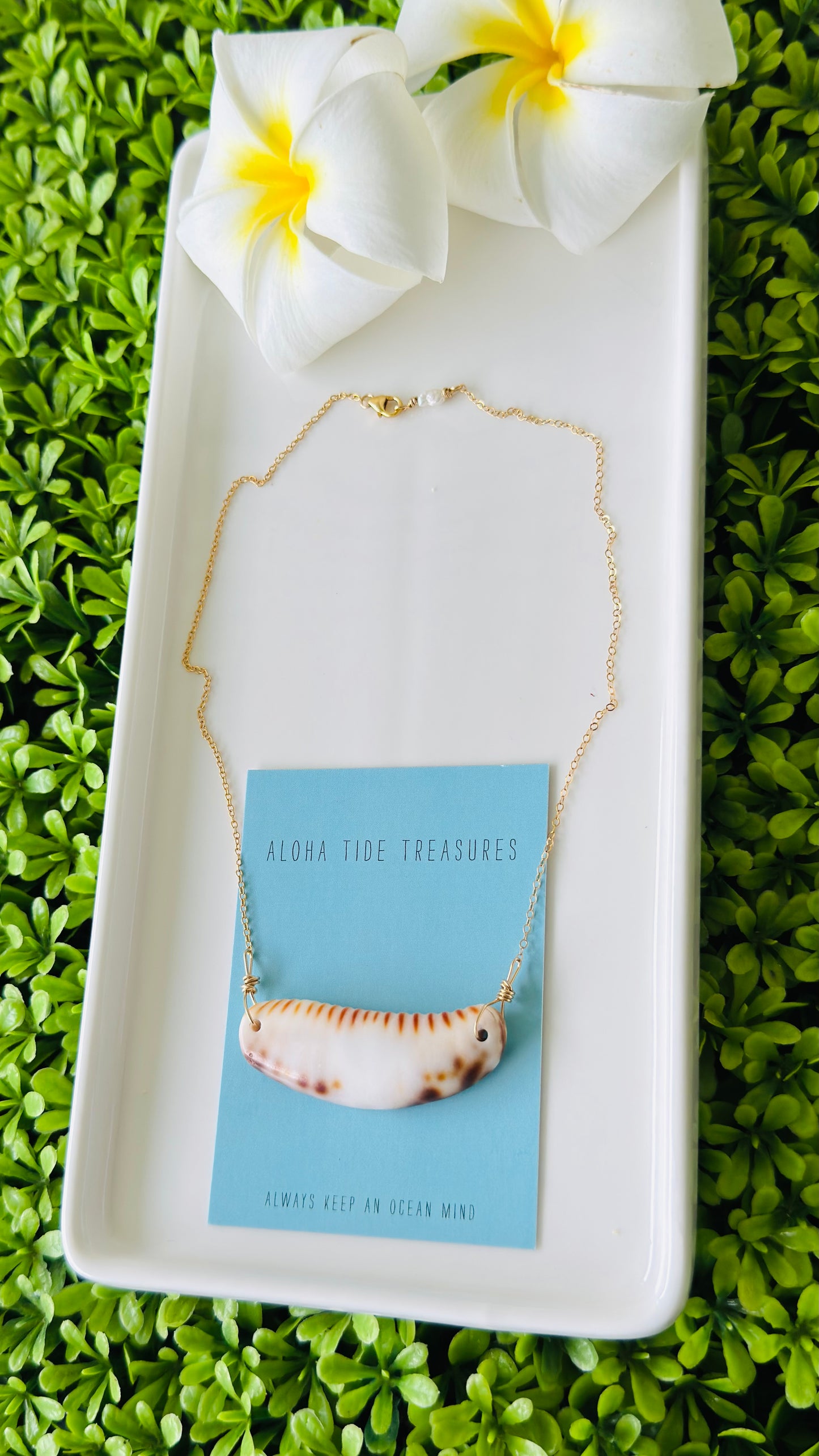 14K GF Cowrie Claw Bar Necklace 16”