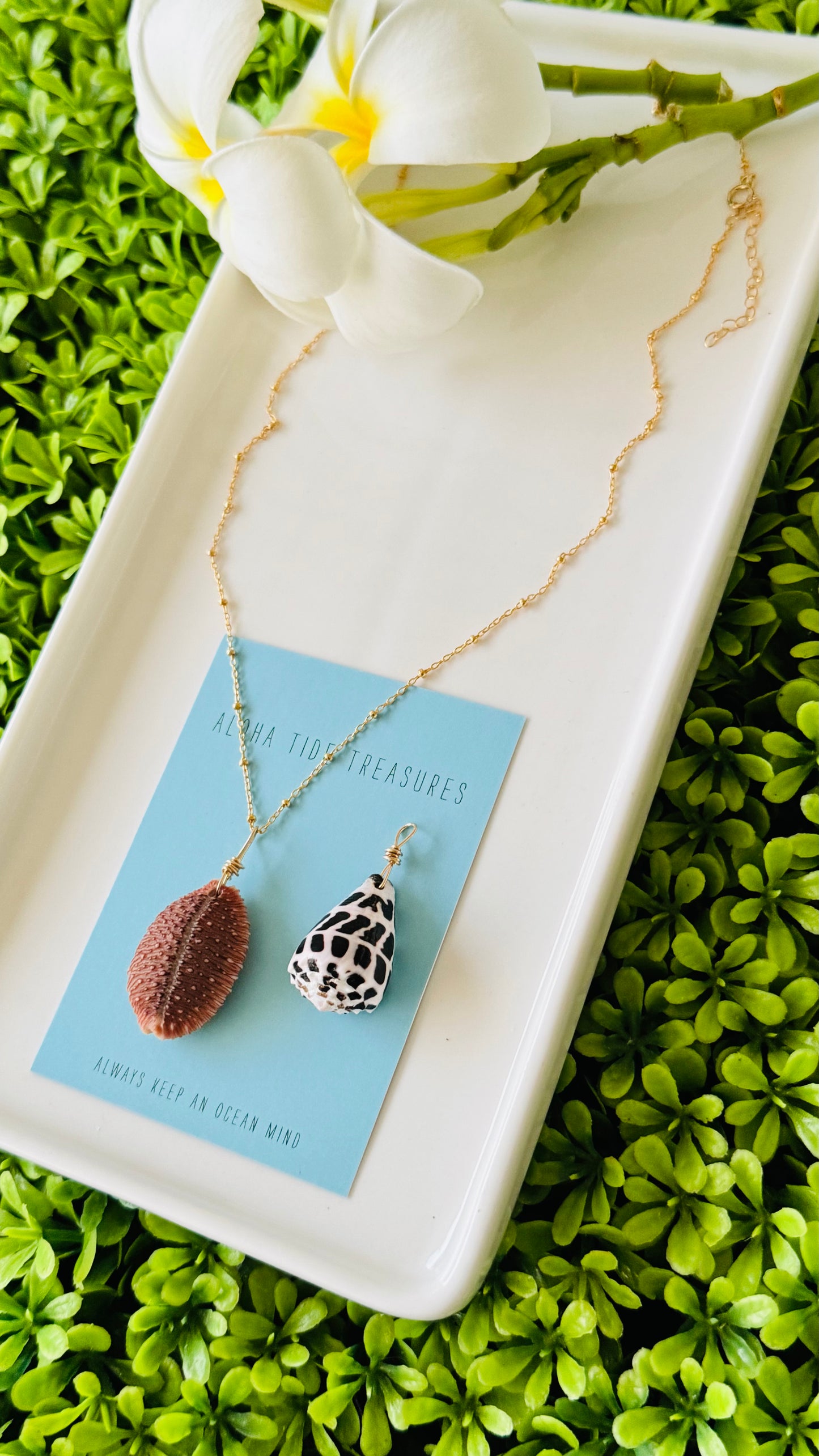 14K GF Cowrie Shell Necklace 16” - Julianne
