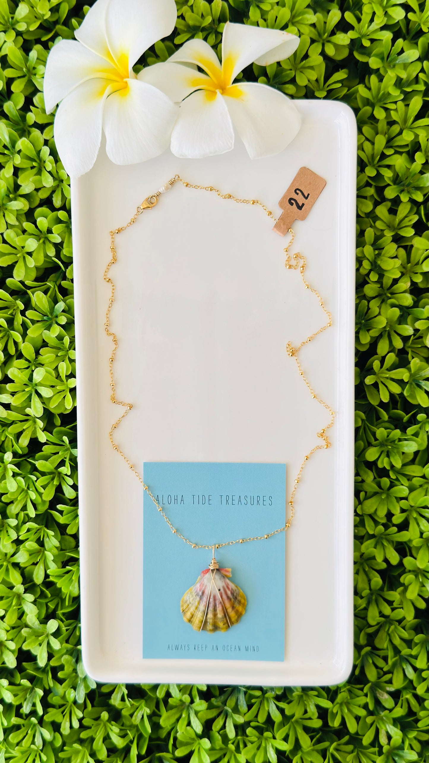 14K GF Sunrise Shell Necklace 22”