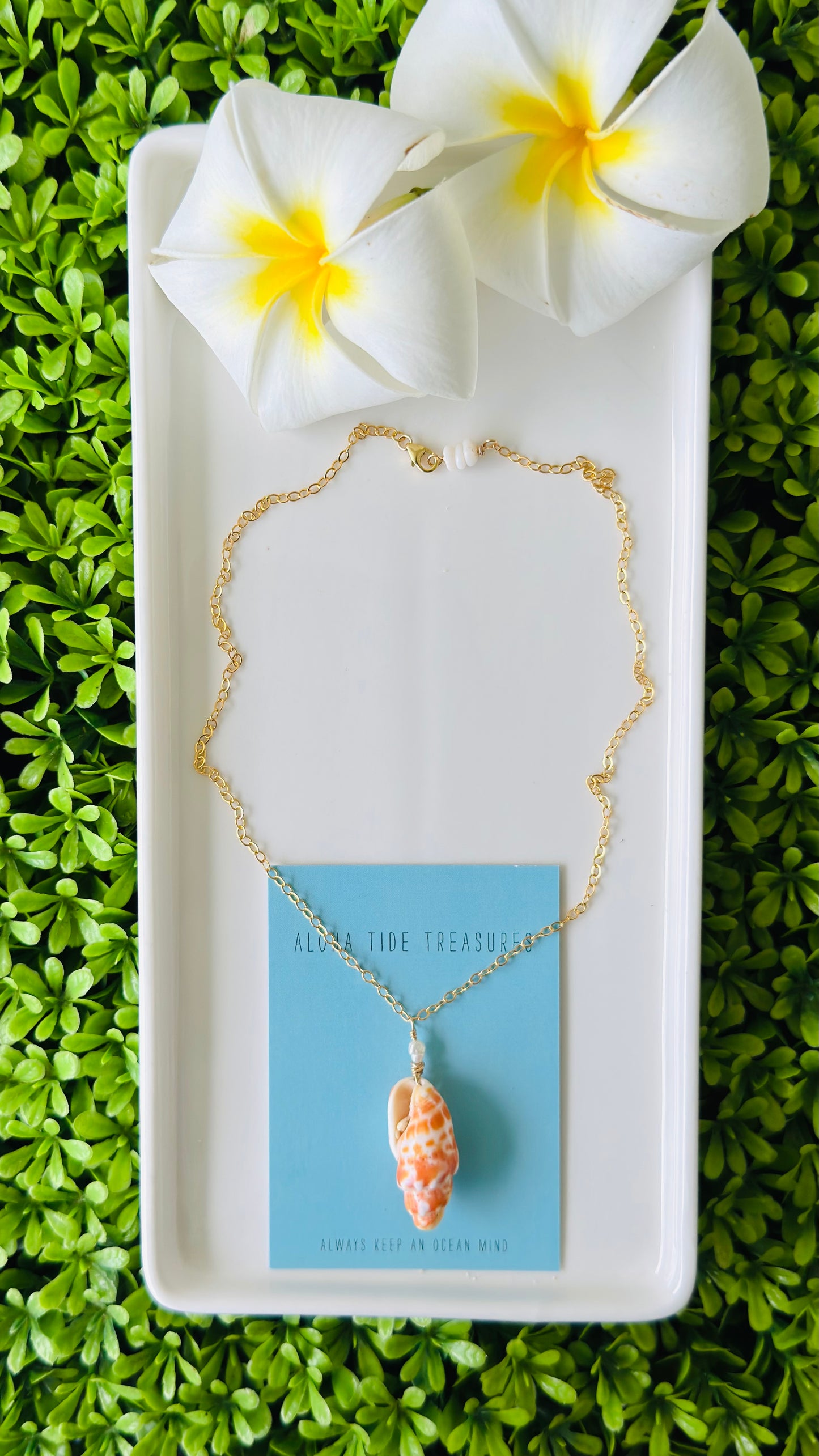 14K GF Miter Shell Necklace 16”