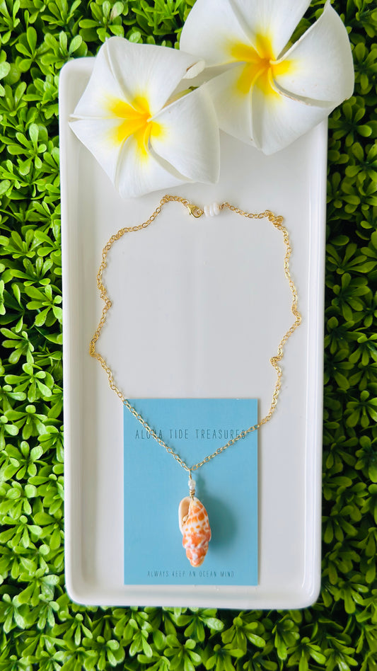 14K GF Miter Shell Necklace 16”