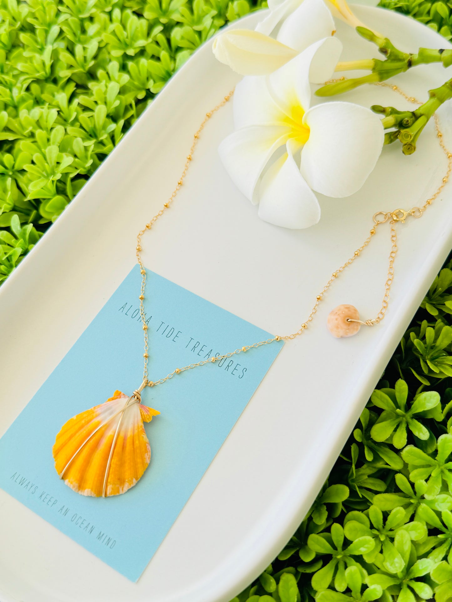 14K GF Sunrise Shell Necklace 16”