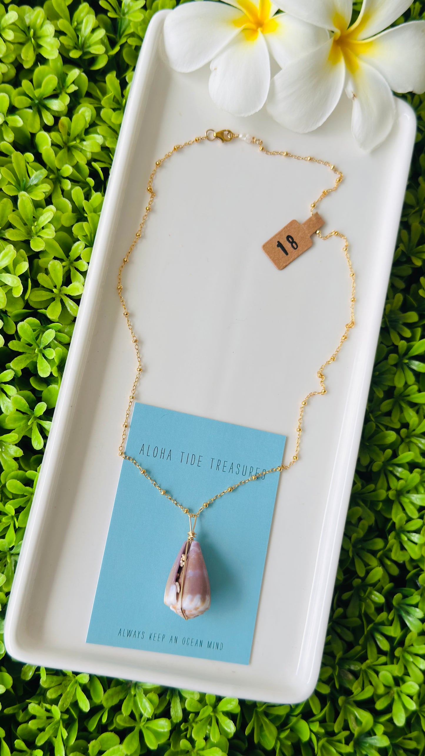 14K GF Cone Shell Necklace 18”