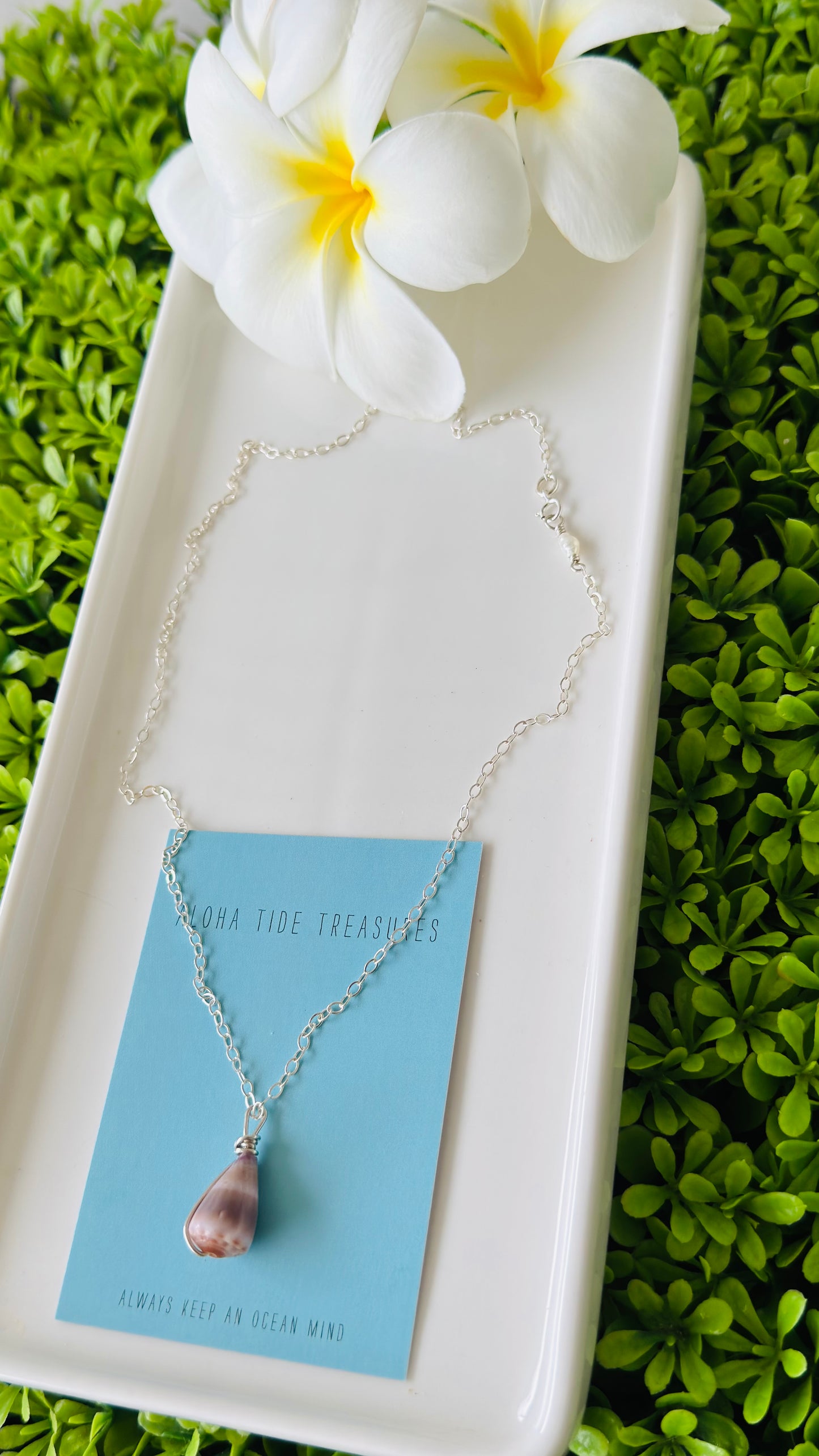 Sterling Silver Cone Shell Necklace 17” - Michelle