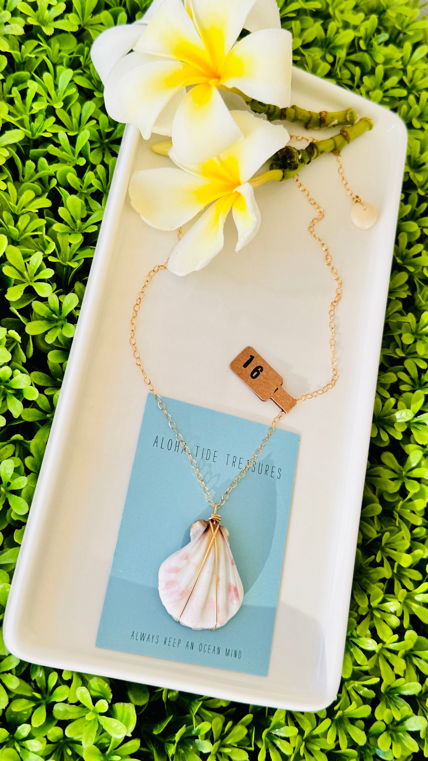 14K GF Scallop Shell Necklace 16”