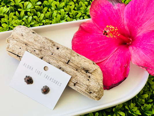 Sterling Silver ‘Opihi Shell Earring Studs