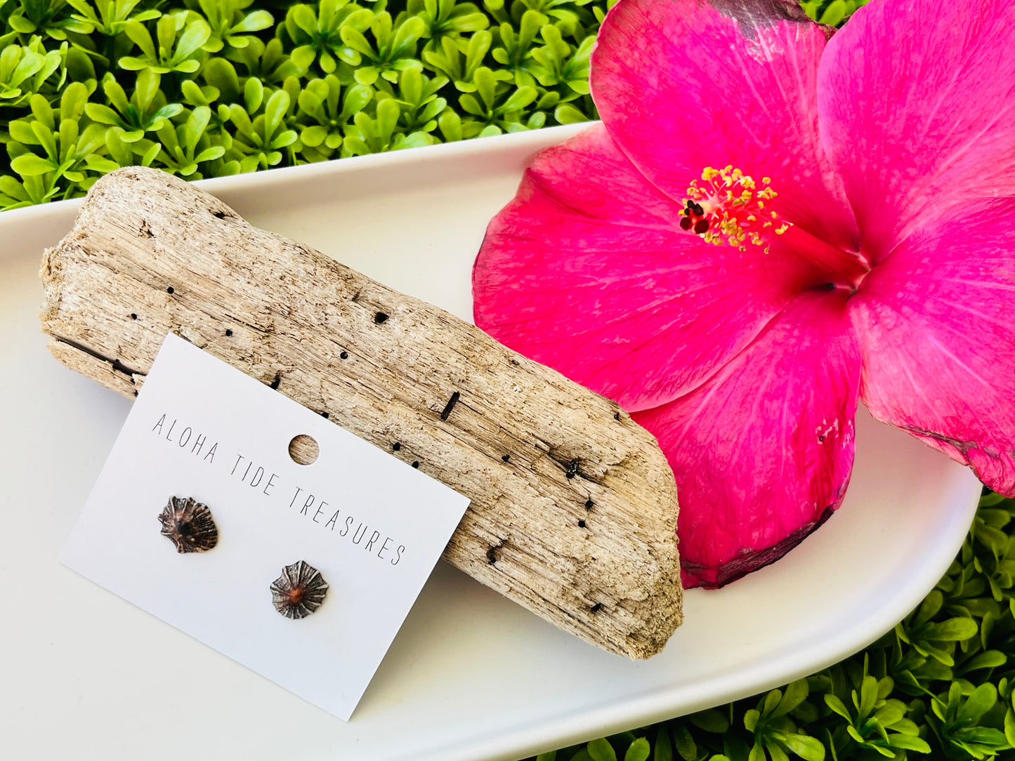 Sterling Silver ‘Opihi Shell Earring Studs