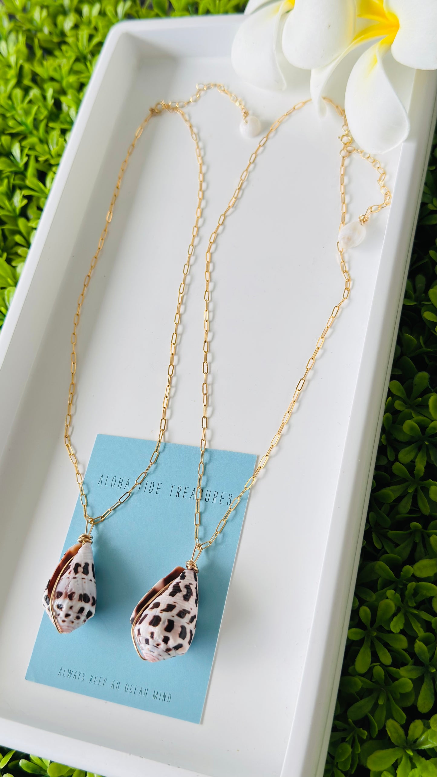 14K GF Hebrew Shell Necklaces 16” - Alex