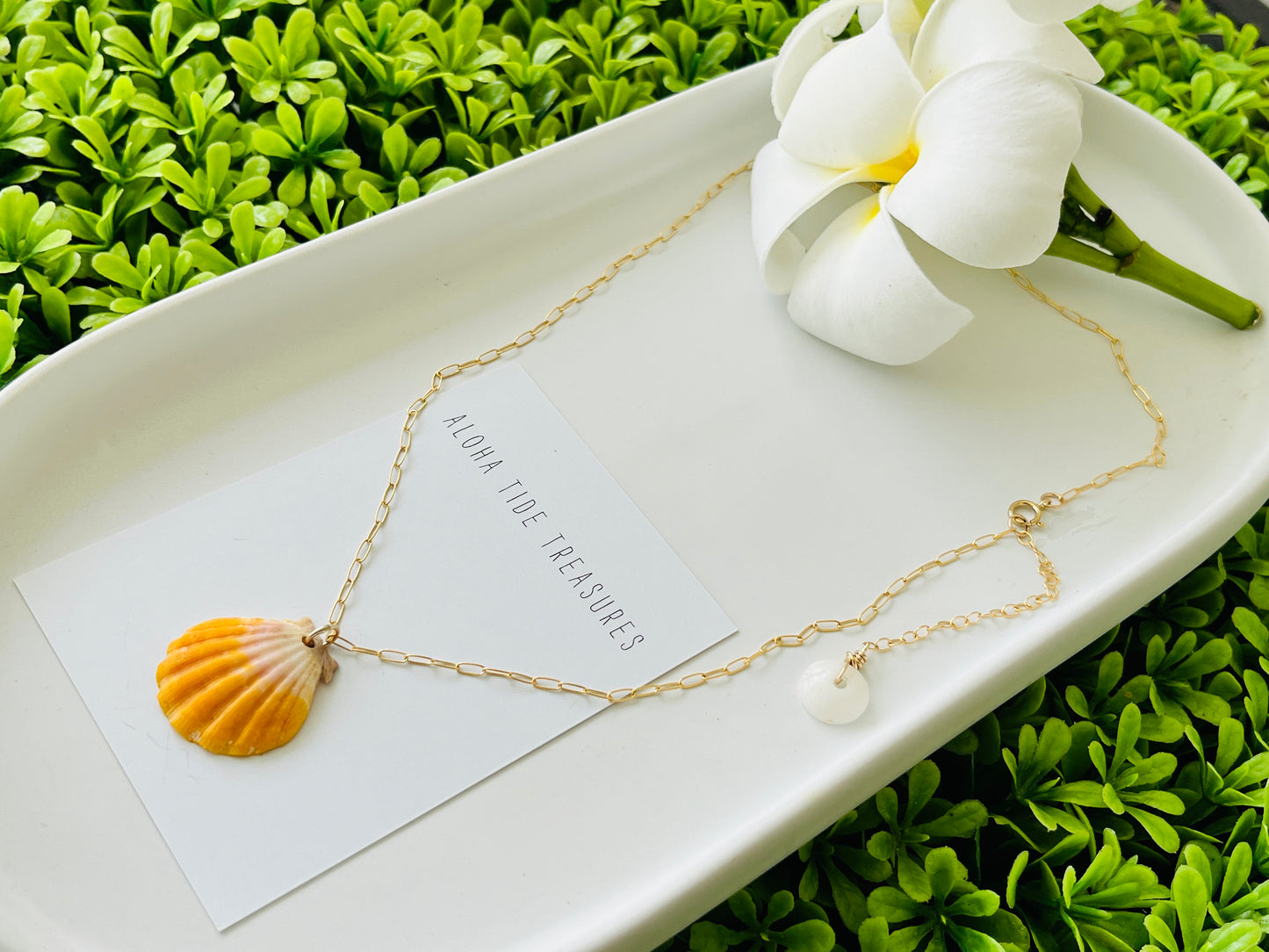 14K GF Sunrise Shell Necklace 16” - Lar