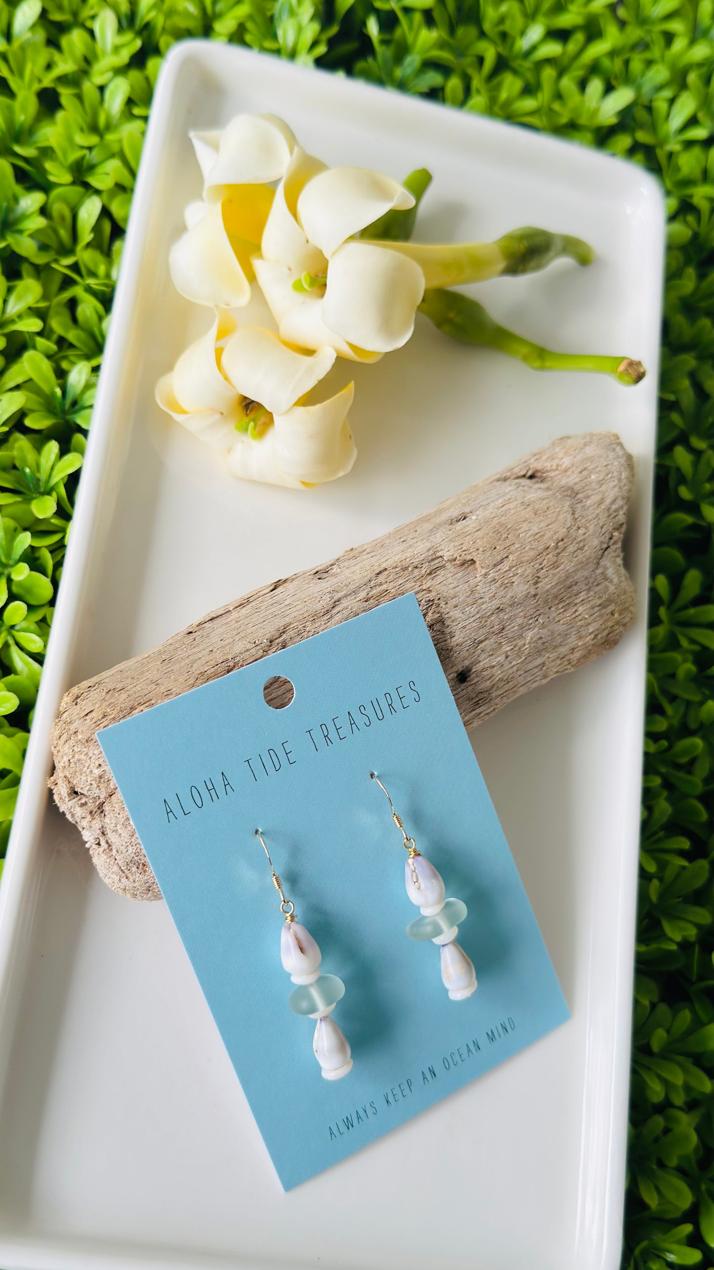 14K GF Stacked Cone Shell Earrings