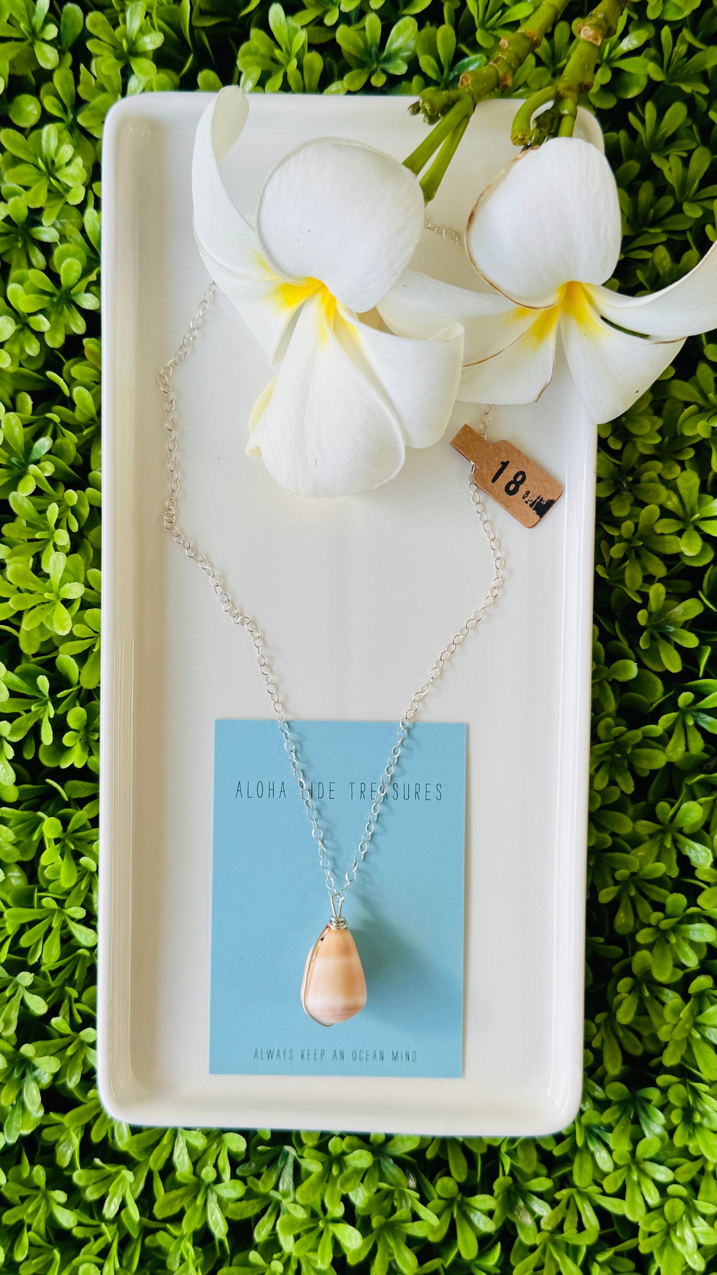 Sterling Silver Cone Shell Necklace 18”