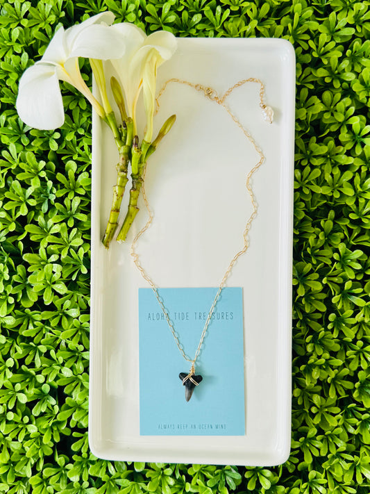 14K GF Shark Tooth Necklace 16” - Karla