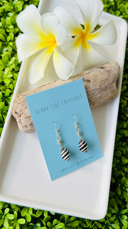 14K GF Okinawa Zebra Shell Earrings
