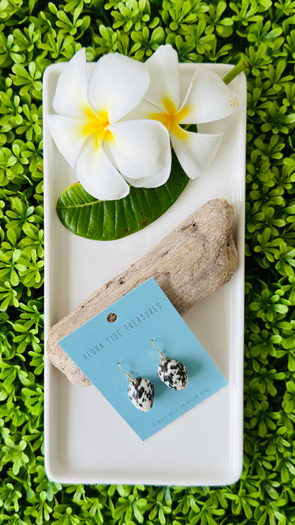14K GF Nerite Shell Earrings