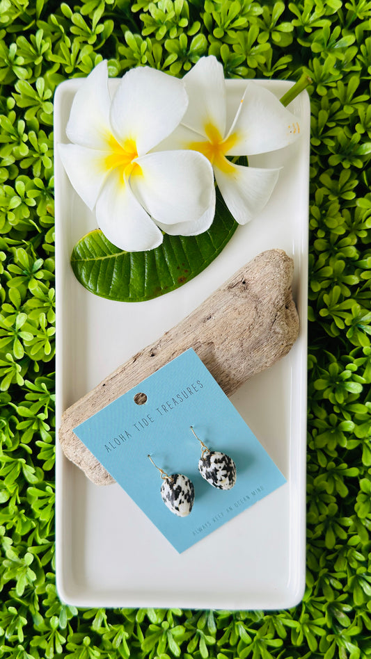 14K GF Nerite Shell Earrings