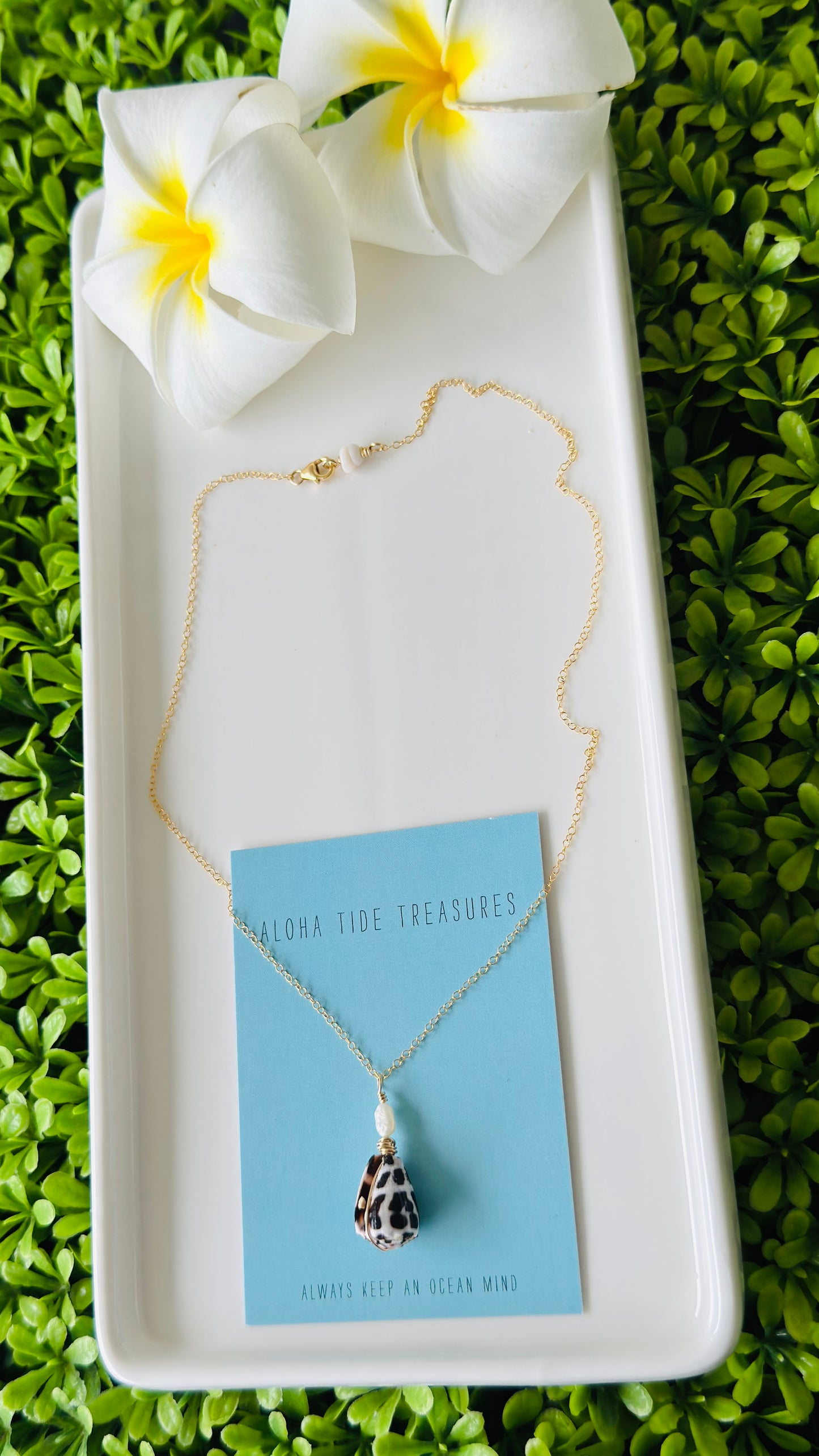 14K GF Hebrew Shell Necklace 16”