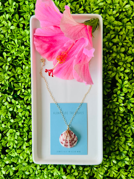 14K GF Carolina Calico Shell Necklace 16” - Kristin