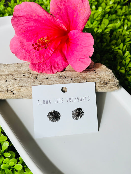 Sterling Silver ‘Opihi Shell Earring Studs