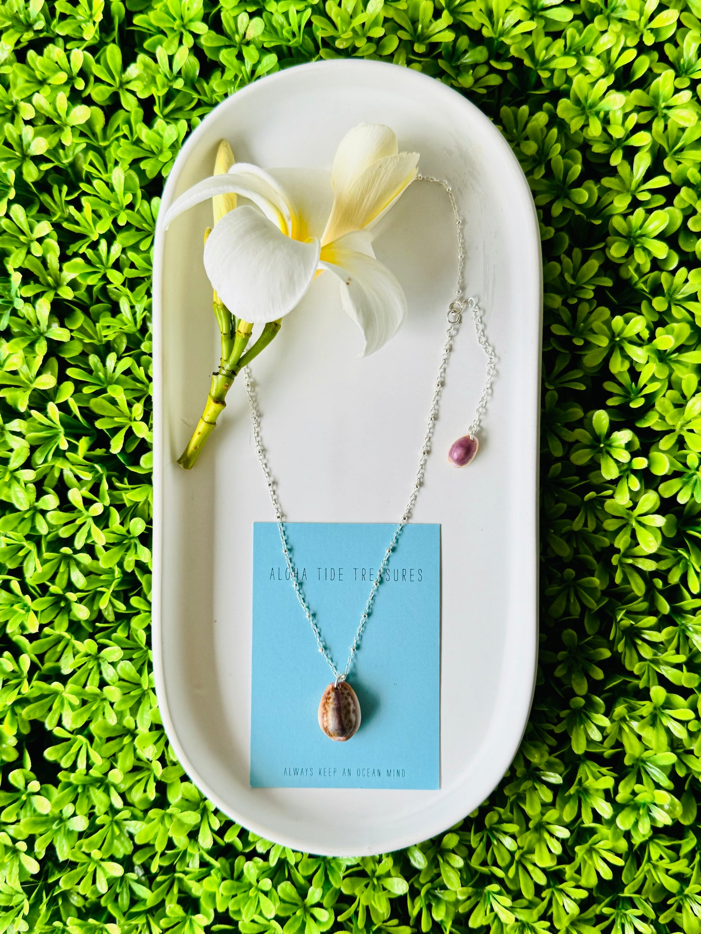 Sterling Silver Cowrie Shell Necklace 16” - Julie