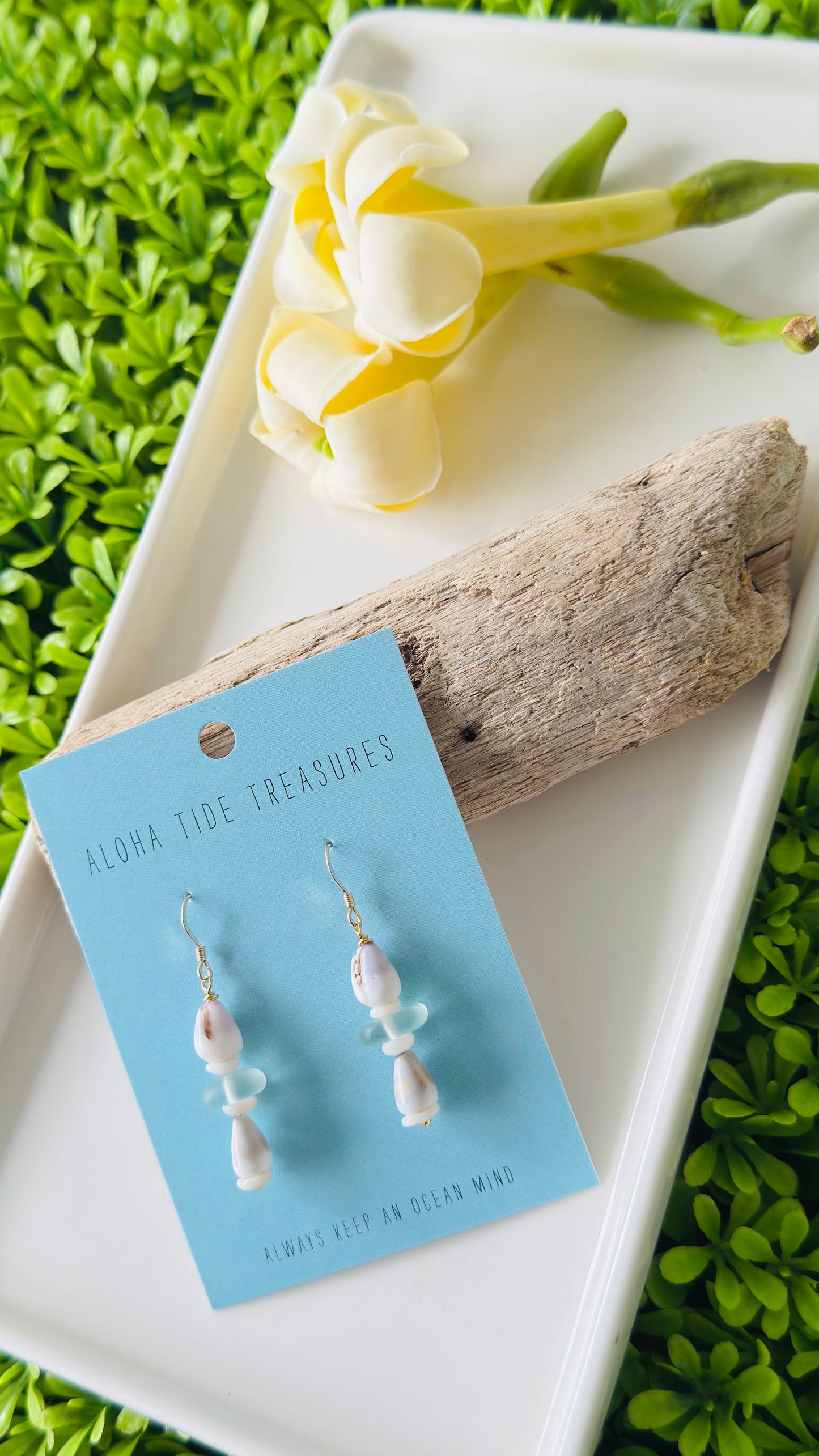 14K GF Stacked Cone Shell Earrings
