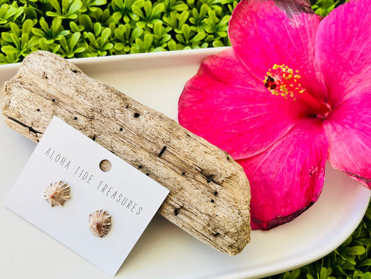 Sterling Silver ‘Opihi Shell Earring Studs