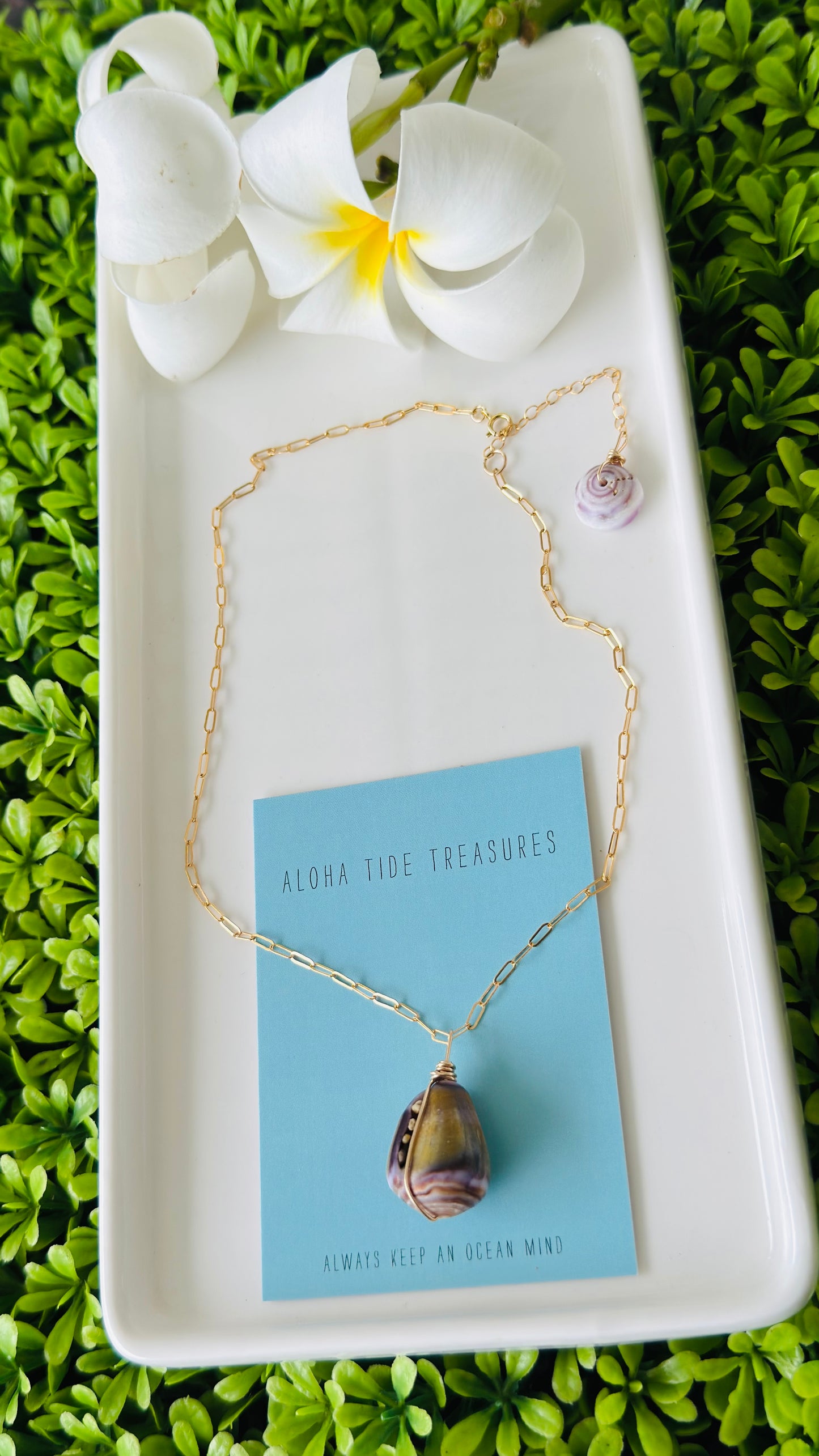 14K GF Cone Shell Necklace 14” - Analyse