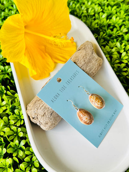 Sterling Silver Spotted Cowrie Shell Earrings