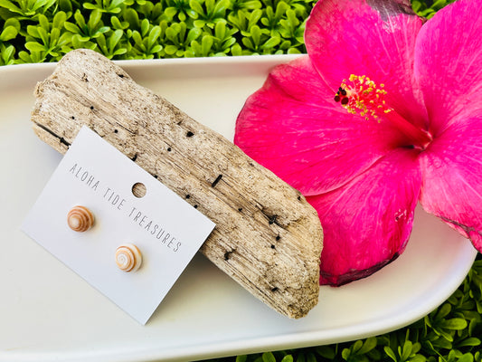 Sterling Silver Puka Shell Earring Studs