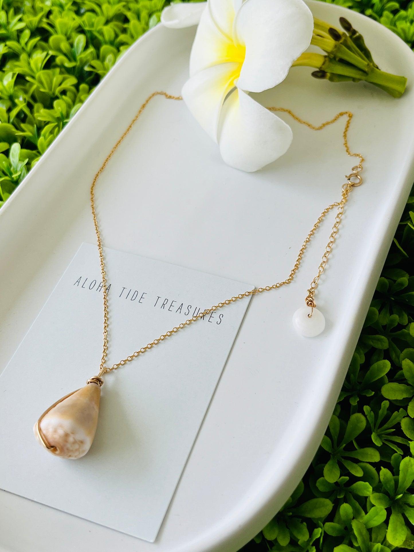 14K GF Cone Shell Necklace 16”